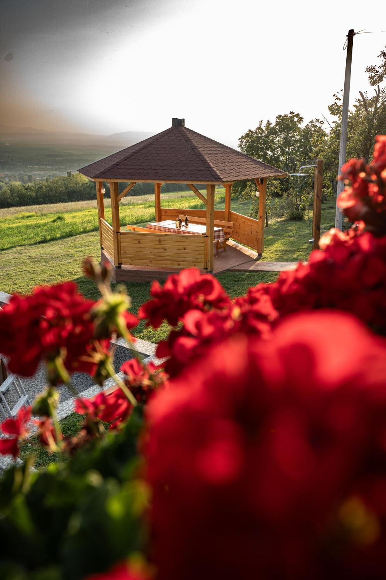 Zlatni Prag - Kraljevo Villa Eksteriør billede